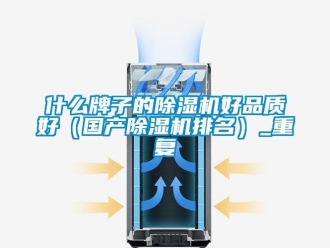 行业新闻什么牌子的除湿机好品质好（国产除湿机排名）_重复