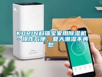 常见问题KORIN科瑞宝家用除湿机–操作方便，夏天潮湿不再愁