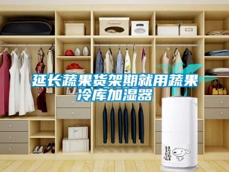 知识百科延长蔬果货架期就用蔬果冷库加湿器