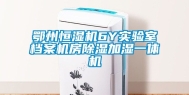 鄂州恒湿机6Y实验室档案机房除湿加湿一体机