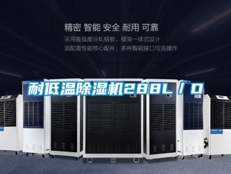 行业新闻耐低温除湿机288L／D