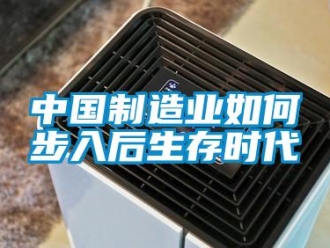 常见问题中国制造业如何步入后生存时代