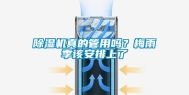 除湿机真的管用吗？梅雨季该安排上了