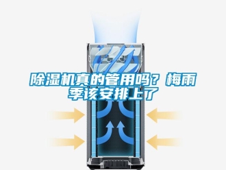 常见问题除湿机真的管用吗？梅雨季该安排上了