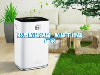 企业新闻鼓风防爆烘箱 防爆干燥箱厂家