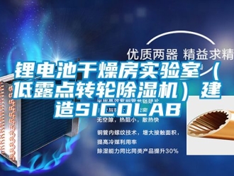 常见问题锂电池干燥房实验室（低露点转轮除湿机）建造SICOLAB