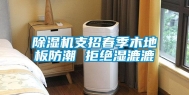 除湿机支招春季木地板防潮 拒绝湿漉漉