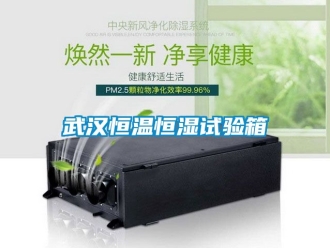 知识百科武汉恒温恒湿试验箱