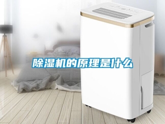 企业新闻除湿机的原理是什么