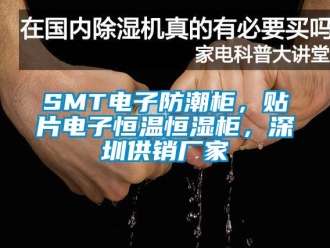 常见问题SMT电子防潮柜，贴片电子恒温恒湿柜，深圳供销厂家
