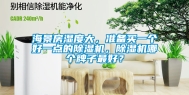 海景房湿度大，准备买一个好一点的除湿机，除湿机哪个牌子最好？