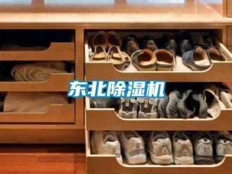 企业新闻东北除湿机