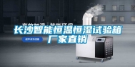 长沙智能恒温恒湿试验箱厂家直销
