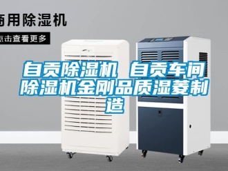 企业新闻自贡除湿机 自贡车间除湿机金刚品质湿菱制造
