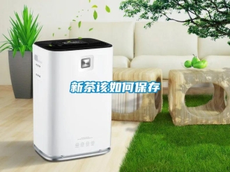 常见问题新茶该如何保存