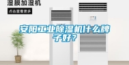 安阳工业除湿机什么牌子好？