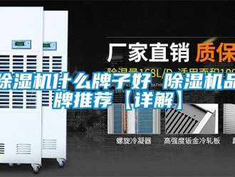 企业新闻除湿机什么牌子好 除湿机品牌推荐【详解】