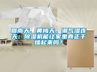 行业新闻回南天、黄梅天，潮气湿连天：除湿机能让家里真正干燥起来吗？