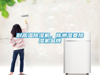 企业新闻耐高温除湿机，株洲湿菱除湿机品牌