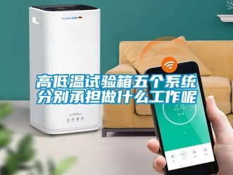 常见问题高低温试验箱五个系统分别承担做什么工作呢