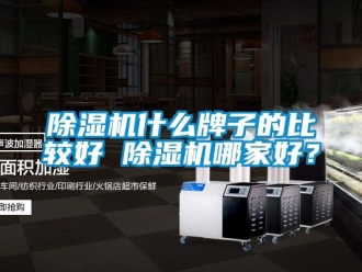 行业新闻除湿机什么牌子的比较好 除湿机哪家好？