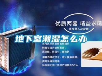 常见问题地下室潮湿怎么办