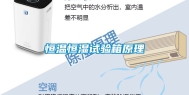 恒温恒湿试验箱原理