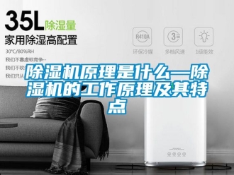 行业新闻除湿机原理是什么—除湿机的工作原理及其特点