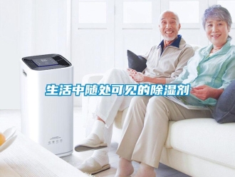 知识百科生活中随处可见的除湿剂