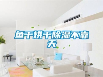 知识百科鱼干烘干除湿不靠天