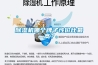 除湿机哪个牌子性价比最高？