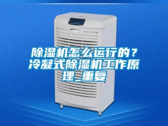 行业新闻除湿机怎么运行的？冷凝式除湿机工作原理_重复