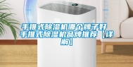 手推式除湿机哪个牌子好 手推式除湿机品牌推荐【详解】
