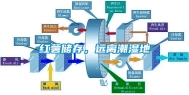 红薯储存，远离潮湿地
