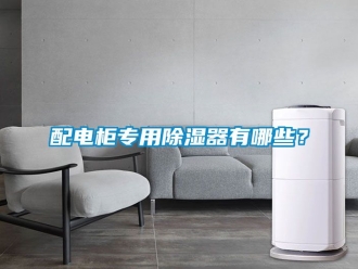 行业新闻配电柜专用除湿器有哪些？