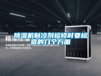 企业新闻除湿机制冷剂检修时要检查的几个方面