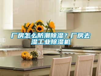常见问题厂房怎么防潮除湿？厂房去湿工业除湿机