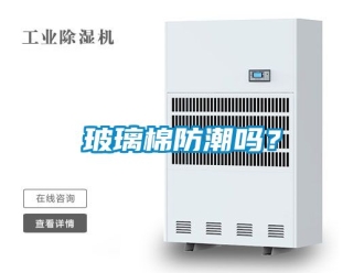企业新闻玻璃棉防潮吗？