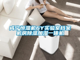 知识百科咸宁恒湿机6Y实验室档案机房除湿加湿一体机