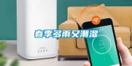 春季多雨又潮湿