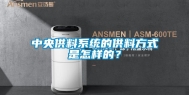 中央供料系统的供料方式是怎样的？