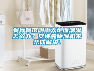 企业新闻餐厅餐馆阴雨天地面潮湿怎么办？安诗曼除湿机来帮你解决！