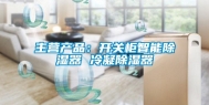 主营产品：开关柜智能除湿器 冷凝除湿器