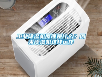 常见问题工业除湿机原理是什么？原来除湿机这样运作