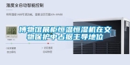 博物馆展柜恒温恒湿机在文物保护中占据主导地位