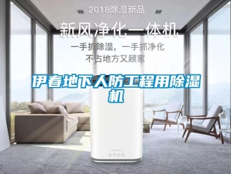 行业新闻伊春地下人防工程用除湿机