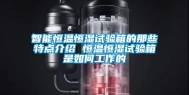 智能恒温恒湿试验箱的那些特点介绍 恒温恒湿试验箱是如何工作的