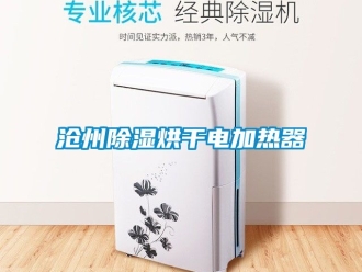 企业新闻沧州除湿烘干电加热器