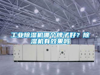 常见问题工业除湿机哪个牌子好？除湿机有效果吗