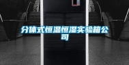 分体式恒温恒湿实验箱公司